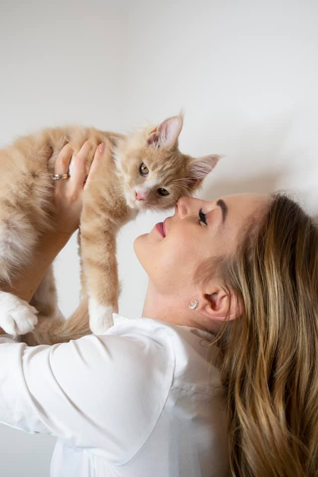 Lik mijn poes tot ik klaar kom